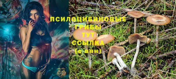 винт Белокуриха