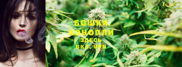винт Белокуриха