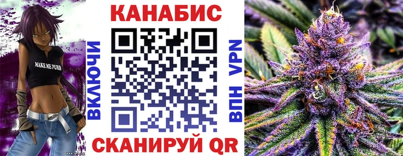 Конопля сатива  сколько стоит  Болгар 